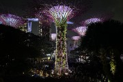 11-Singapore - Supertree Grove Light Show